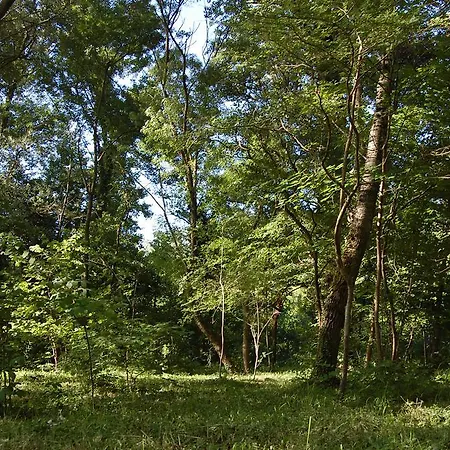 Le Jabelin La Begude-de-Mazenc